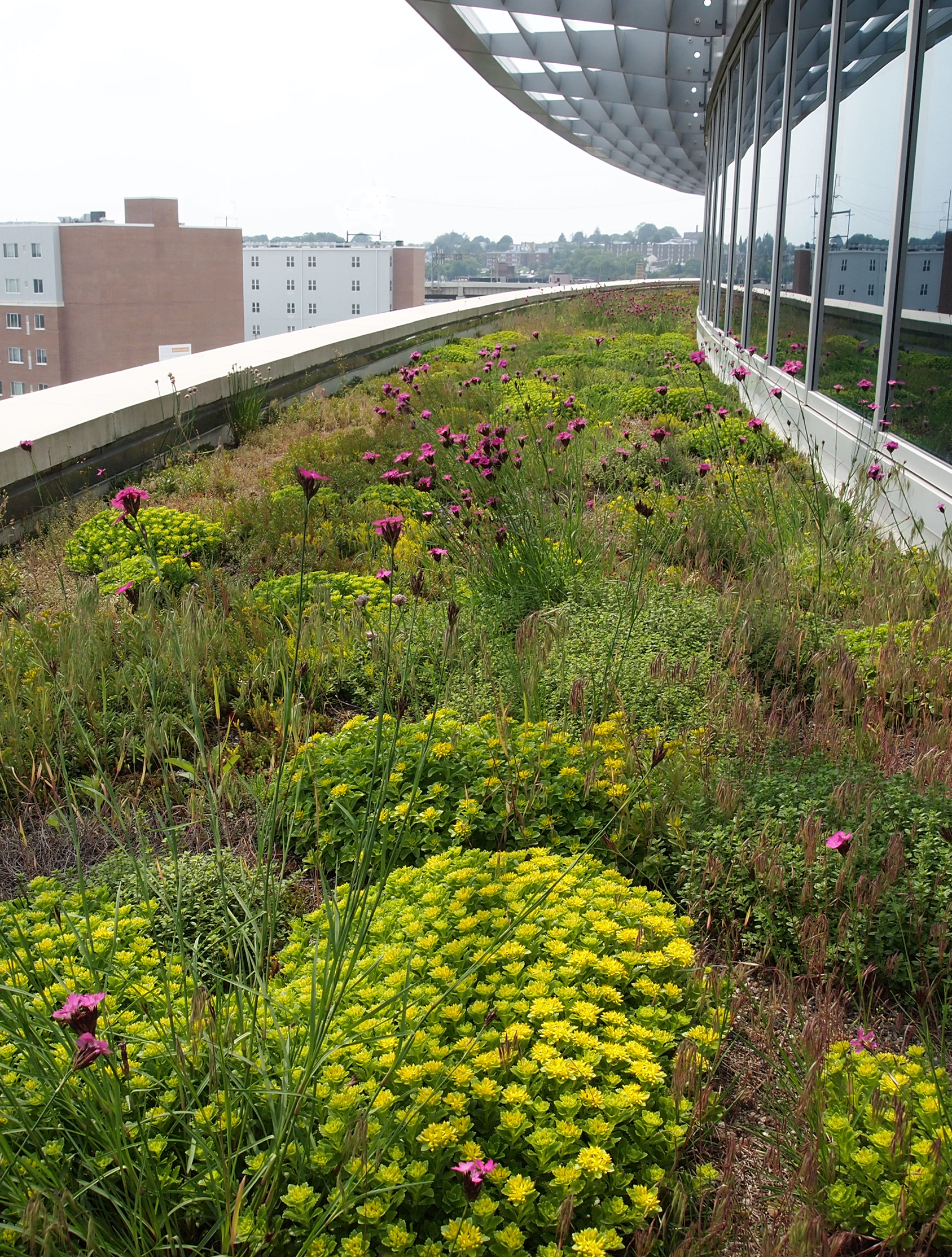 EcoCline Image - Narrow