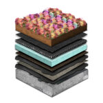 Maroon Sedum-Mix Blanket