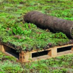 Sempergreen Standard Sedum-mix Blanket assortment